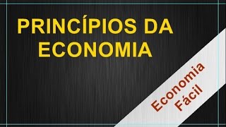 Introdução à economia 1  Princípios da economia [upl. by Eilema984]