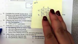 Bio Final Exam Part 1 [upl. by Guarino]