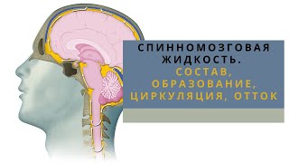 Циркуляционный насос 12 Вольт для системы отопления при отключении электричества Схема quotПОМПАquot [upl. by Mandy752]