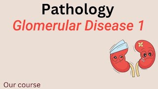 L1 Patho  Glomerular disease 1 Renal 42 🍓 [upl. by Josy]