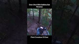 Pistol Crossbow Kills deer [upl. by Jonie]