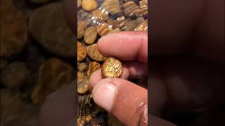 Opals 80000 gemsstone nature gemstone shortvideo rockhounding crystalgems [upl. by Herta341]