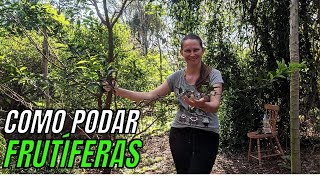 Poda de Árvore Como Podar as Árvores Frutíferas [upl. by Nivrem]