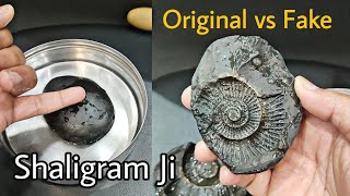 Original Shaligram Ji  Shaligram Ki Pehchan  Original vs Fake Test Shaligram Stone [upl. by Naid]