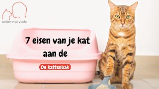 De kattenbak  deze 7 eigenschappen vindt je kat belangrijk [upl. by Azilanna]