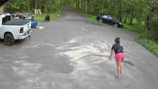 Bear chases dog woman down Maple Grove driveway [upl. by Aelanej189]