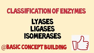 Classification of enzyme  ligases  lyases  isomerases  last part [upl. by Henryson304]