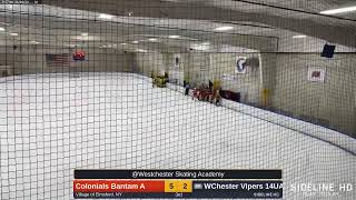 Colonials Bantam A  WChester Vipers 14UA 20241110 [upl. by Rabjohn]