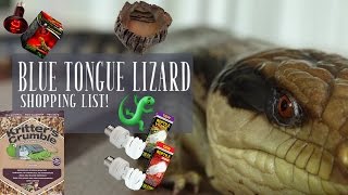 10 ESSENTIALS FOR YOUR BLUE TONGUE LIZARD [upl. by Ardnek]