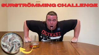 The Surströmming Challenge VOMIT WARNING [upl. by Callas]