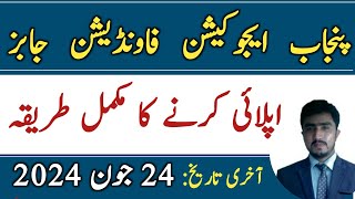 How to apply for Punjab education foundation internship jobs 2024  pef internship online apply [upl. by Lenahs]