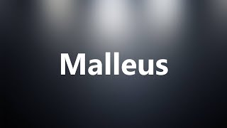 Malleus  Medical Definition and Pronunciation [upl. by Tinaret]