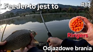 Feeder to jest to 13 🐟🐟 Odjazdowe brania na żywo [upl. by Agnes]