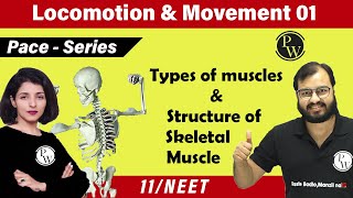 Locomotion and Movement 01  Types of Muscles  Structure of Skeletal Muscle  Class 11  NEET [upl. by Chevy942]