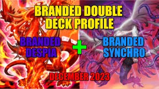 Two Branded Profiles for the Price of One  Branded Despia  Branded Synchro December 2023 [upl. by Pavlish321]