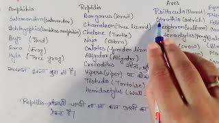 Tetrapoda examples with super pnemonics 😱😁 [upl. by Holtorf]