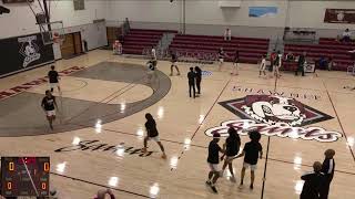 Shawnee Community Co vs Southwestern Illinois College Womens Junior College Basketball [upl. by Hansiain]