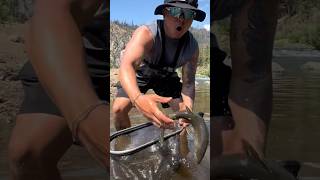 Bass fisherman goes fly fishing for the first time 🫣🎣 flyfishing riverfishing shorts trout [upl. by Alberik93]