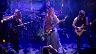 SOLARCYCLES  Ode to the Forest live in Hoofddorp 2023 [upl. by Brigida]