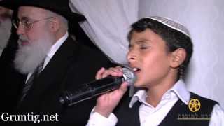 Uziya Tzadok Sings Kochav Meir Live At Chuppah [upl. by Retha]