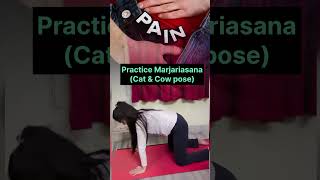 Marjariasanacatampcow posefertility yogayogaforbeginners yoga youtubeshorts shortsviral yt [upl. by Yllim99]