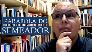 COMO ANALISAR A PARÁBOLA DO SEMEADOR [upl. by Fante788]