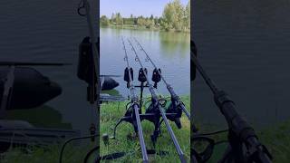 ROC XRS Carp Run 🖤♥️😮‍💨 fishing carp catchfish compilation compilations fishinggear [upl. by Corso156]