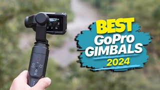 Best GoPro Gimbals 2024 Gyro Magic [upl. by Santini]