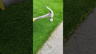 How to fix artificial grass to the ground？landscape lawncare artificialturf fixartificialgrass [upl. by Rizan]