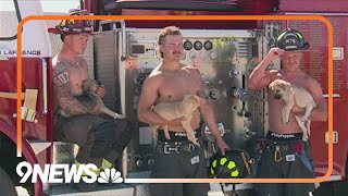 Firefighters pose with puppies to raise money for rescue [upl. by Brubaker]