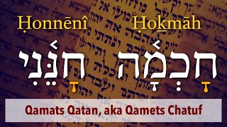 Learn To Read The Hebrew Bible  Part 7  Qamats Qatan [upl. by Virgil277]