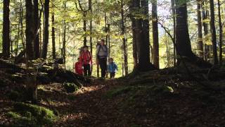 Urlaub in Ruhpolding  Sommer amp Winteraktivitäten in den Bayerischen Alpen [upl. by Nadabas]