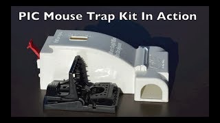 PIC Mouse Trap Kit In Action [upl. by Notnil]