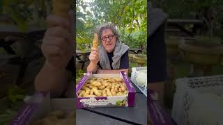 Marco Pierre White  La Ratte potatoes [upl. by Netsrik]