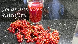 Thermomix®TM5 Johannisbeeren entsaften [upl. by Ibbie]