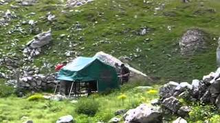 une transhumance dans les Pyrénées [upl. by Refynnej]