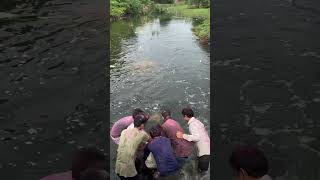 जेन बस्ती डबोक माता जी विसर्जन trending shorts ytshorts dabok matarani visarjan [upl. by Otipaga]