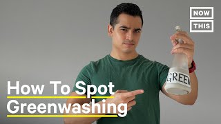 Everything You Need to Know About Greenwashing [upl. by David900]