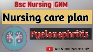 Pyelonephritis  Nursing care plan for Pyelonephritis Case study on UTI  NCP uti ncp [upl. by Ellirpa419]