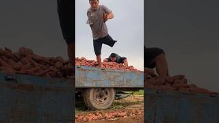 Woodworking farmers😭😱🤯💯 youtubeshorts farming recpect agriculture trending shorts viralshort [upl. by Notsuoh]