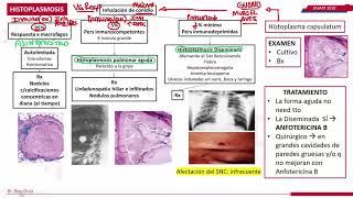 RESUMEN COMPLETO DE MICOSIS [upl. by Thgiwed]