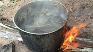 How To Make Ayahuasca Tea  Ayahuasca Recipe Warning Must Watch [upl. by Ahsined409]