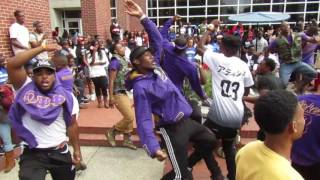 Omega Psi Phi disses Sigmas and Kappas at Tennessee State University Courtyard Wednesday [upl. by Nehgaem]