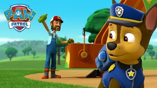 Skye et Chase sauvent la ferme dAl et plus encore   PAW Patrol dessins animés pour enfants [upl. by Us]