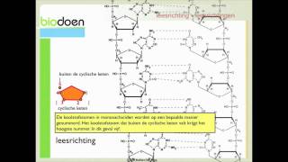 Biodoen  leesrichting 1 van 2 [upl. by Kin]