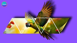 I have Designed this Parrot Poster using Canva Pro  Canva Pro Tutorial  Canva Pro Design Tutorial [upl. by Barn]