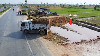 Filling Land Process by Bulldozer D31P Komatsu amp 5Ton Truck Pushing Soil into Rice Field [upl. by Euqcaj823]