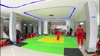 Seni Tunggal Pencak Silat IPSI [upl. by Silrac]