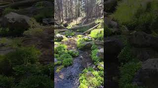 Fall River river fallriver sunriver peaceful nature [upl. by Maillliw867]