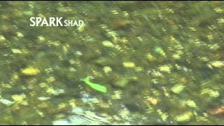 MEGABASS MOVIE 078 SPARK SHAD [upl. by Ithaman197]